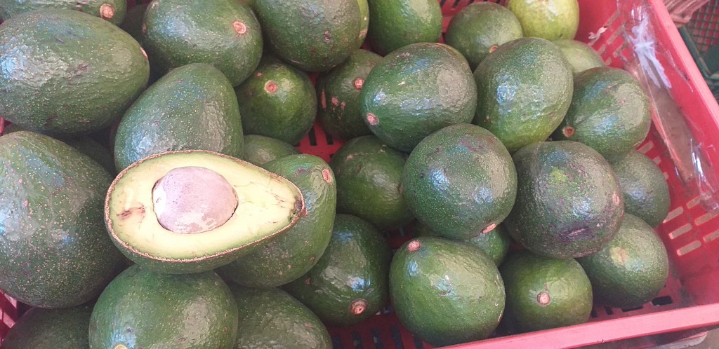 Aguacate booth 8