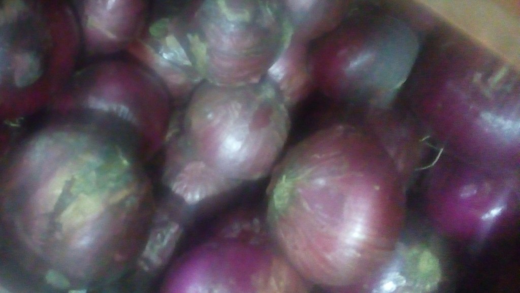 Cebolla cabezona morada