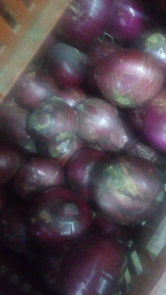 Cebolla cabezona morada