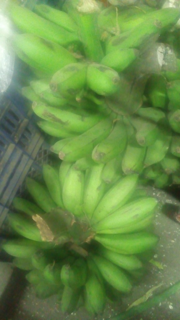 Colicero