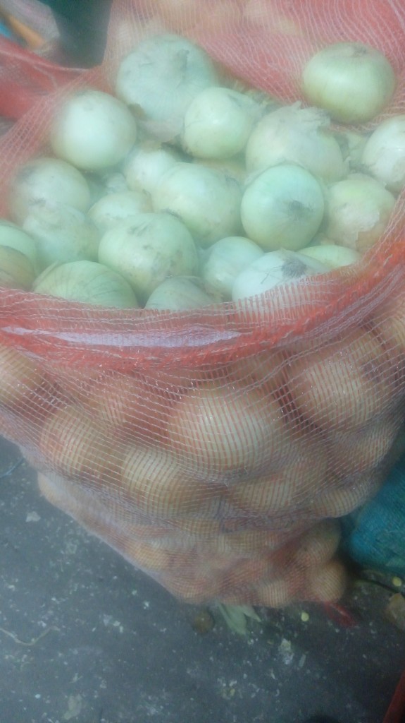 Cebolla cabezona