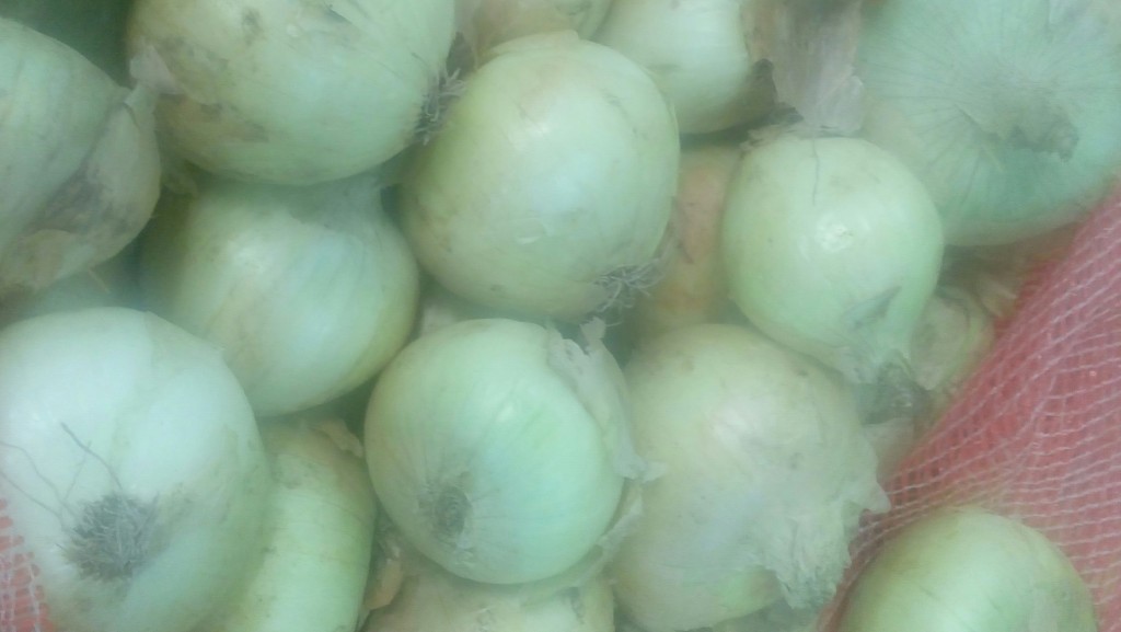 Cebollas cabezona