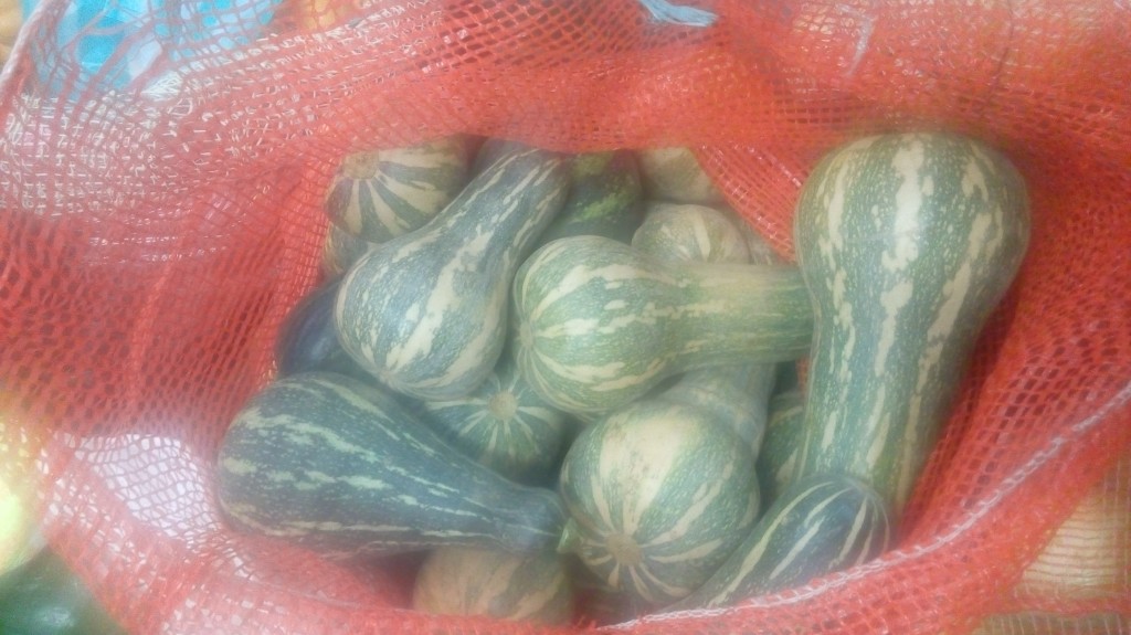 Ahuyama Sapayo