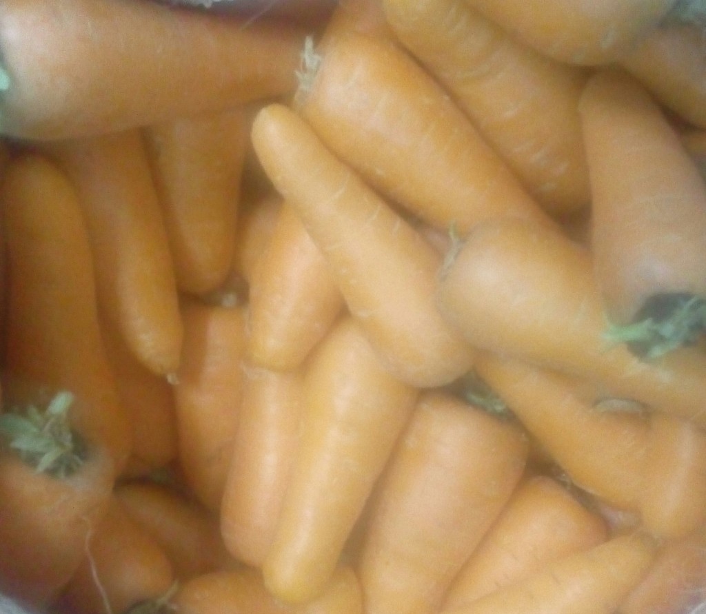 Zanahoria gruesa