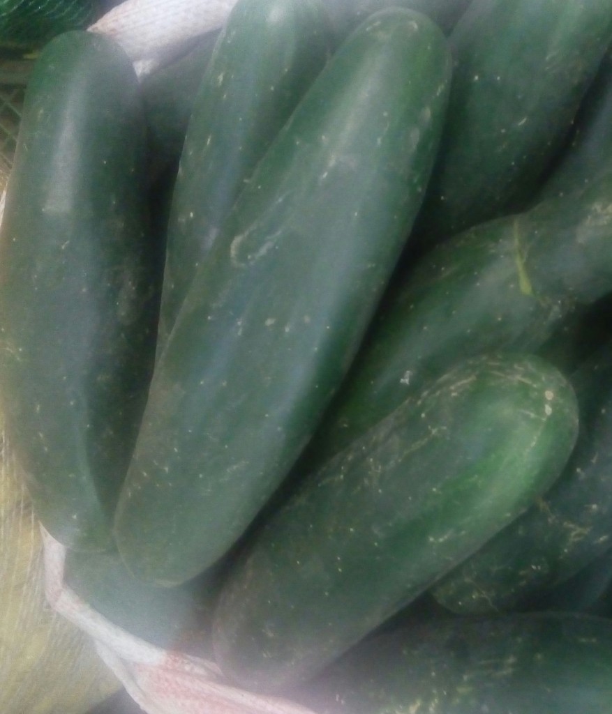 Pepino cohombro