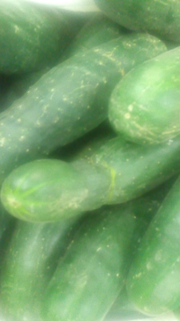 Pepino cohombro