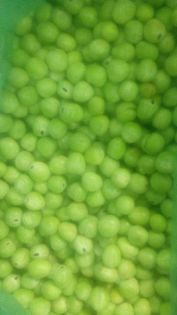Arveja