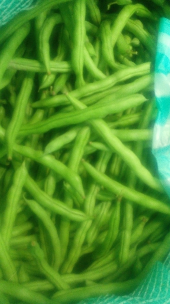 Habichuelas