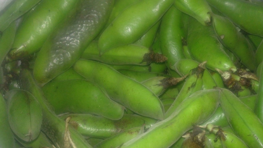 Abás