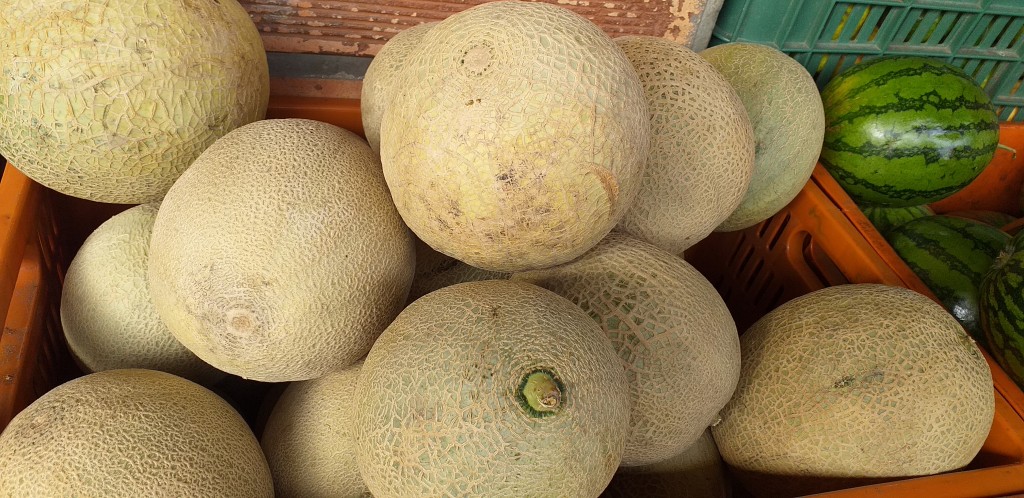 Melon