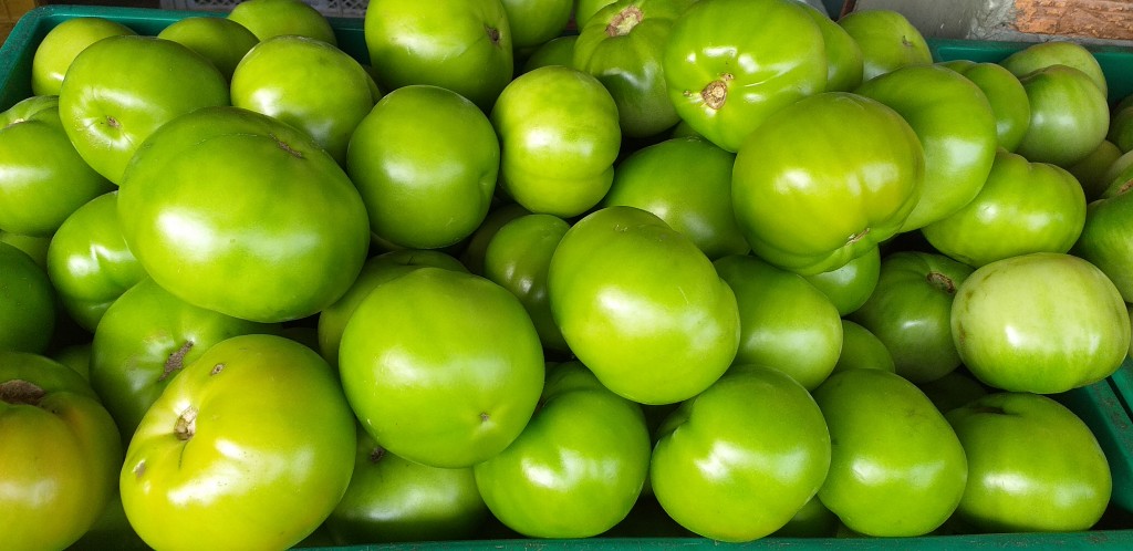 Tomate riñon