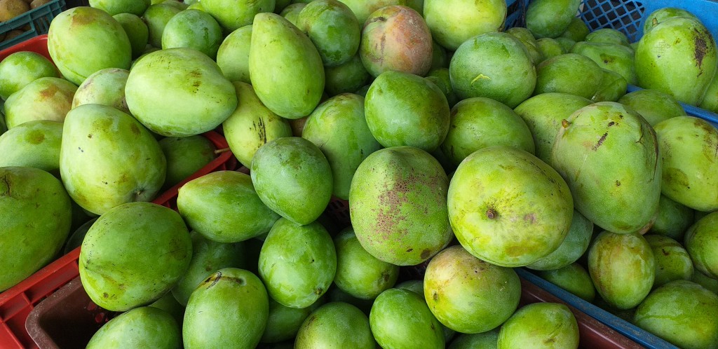Mango filipino
