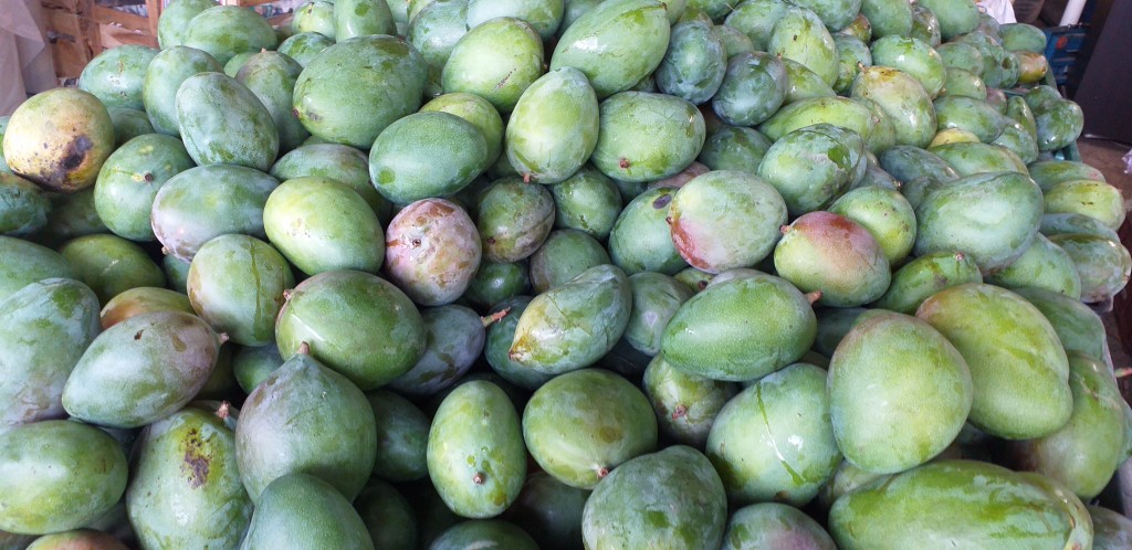Mango farchi