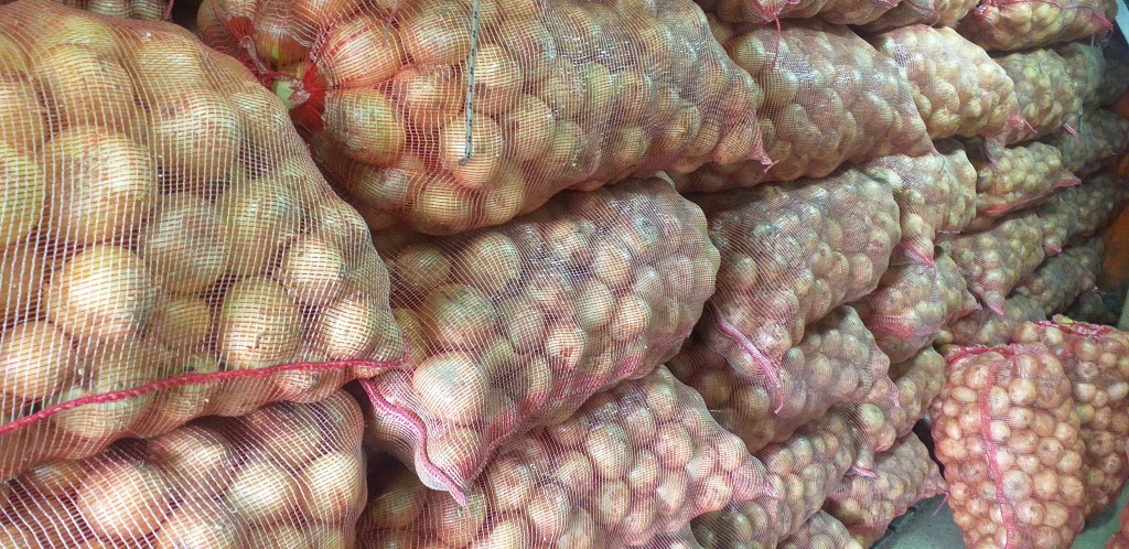 Cebolla blanca/50kg
