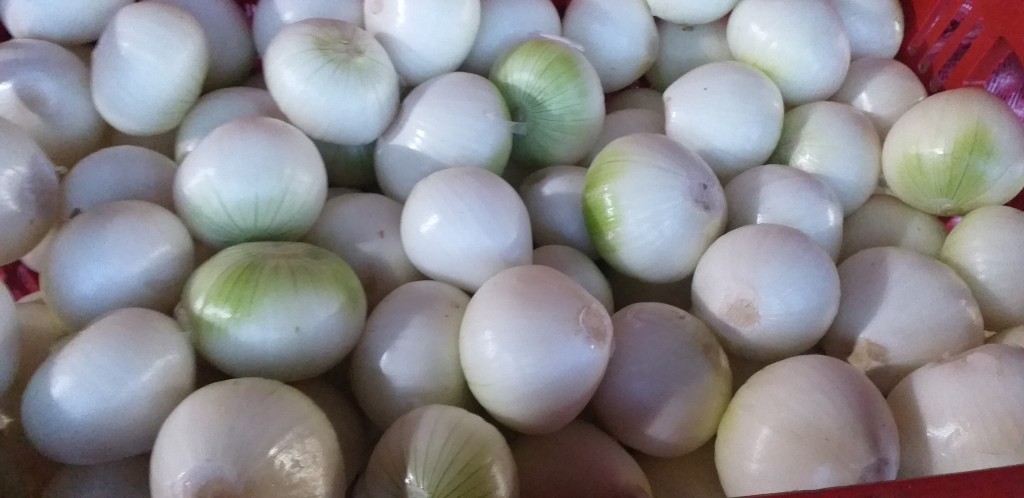 Cebolla blanca pelada