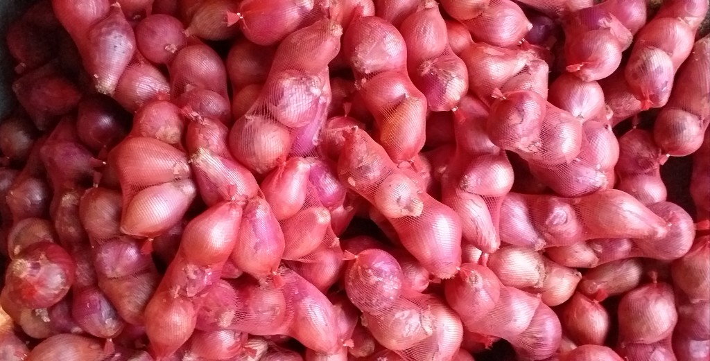 Cebolla roja en malla 3 pepas