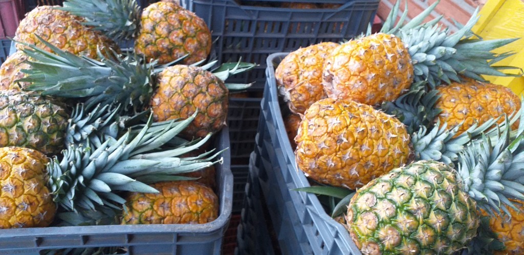 Piña averiada