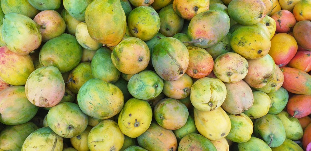 Mango reina