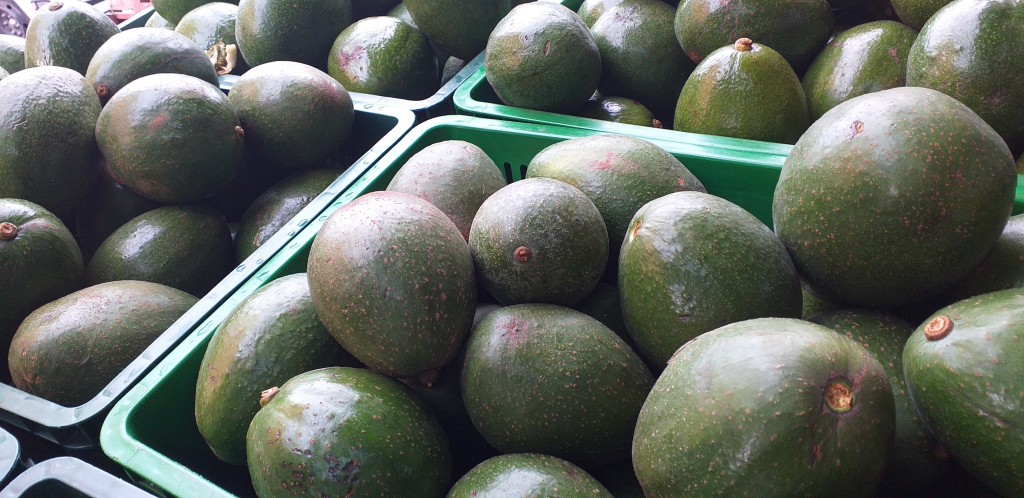 Aguacate choquette