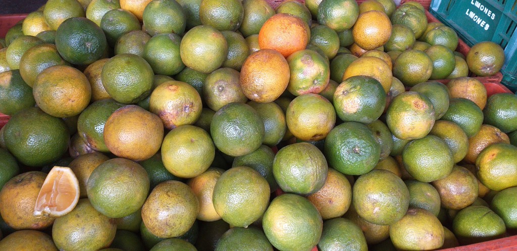 Naranja valencia 2da