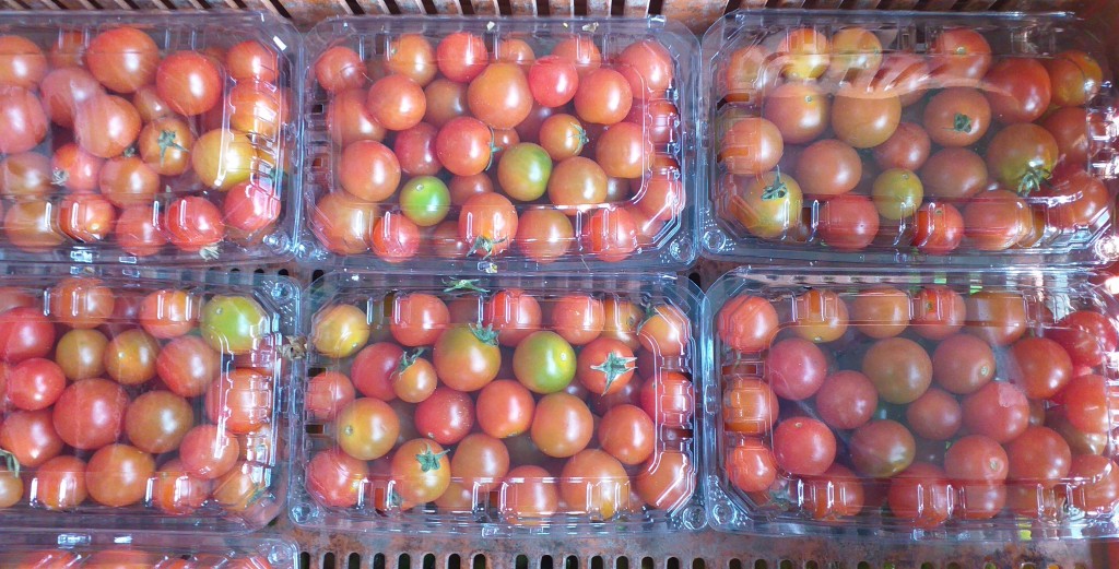 Tomate cherry/500gm