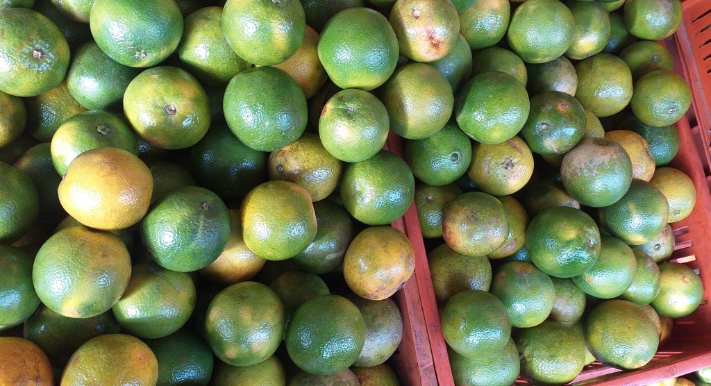 Naranja valencia