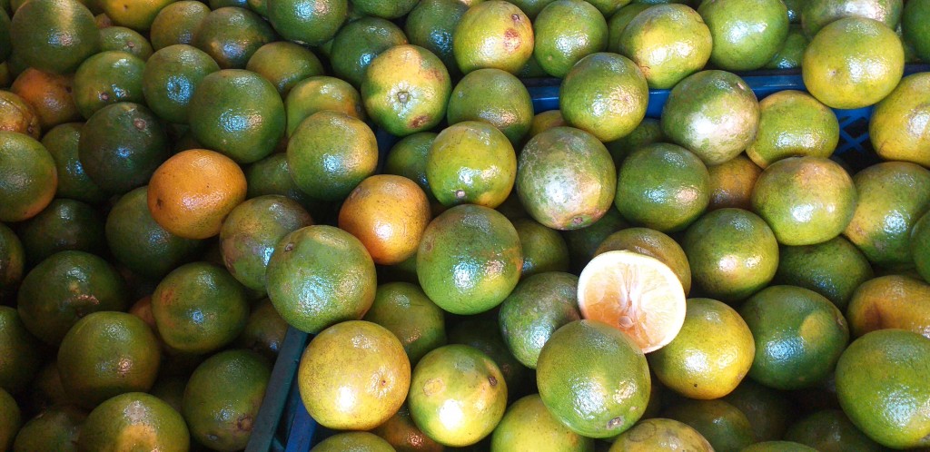 Naranja washington