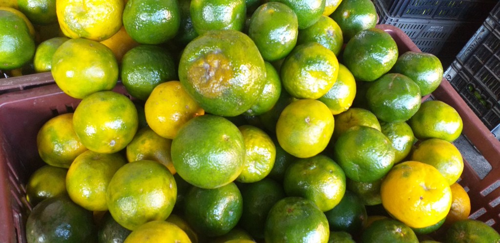 Mandarina oneco