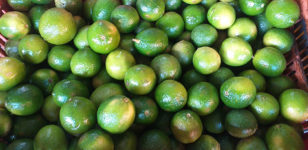 Limon tahiti