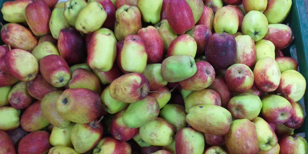 Manzana criolla delgada