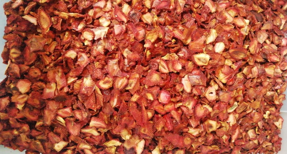 Fresa deshidratada