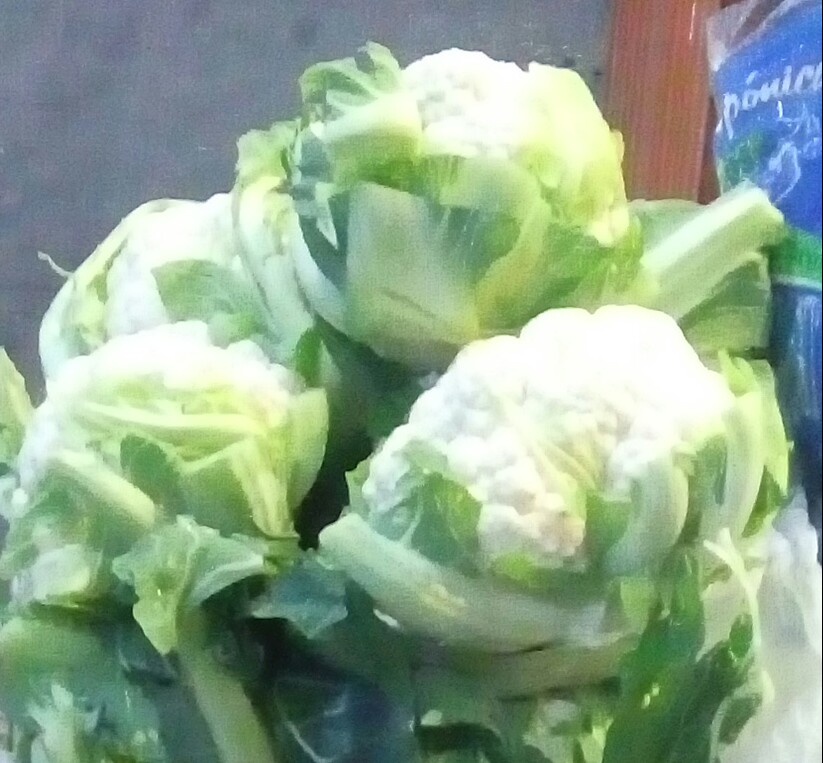 Coliflores
