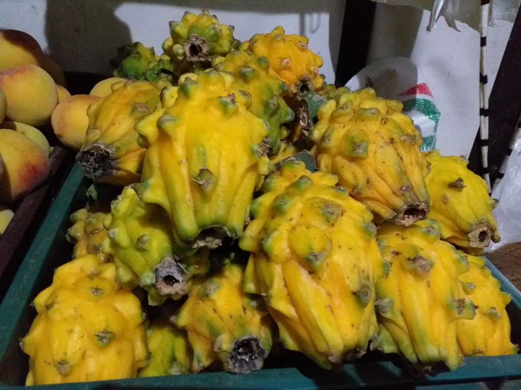 Pitaya