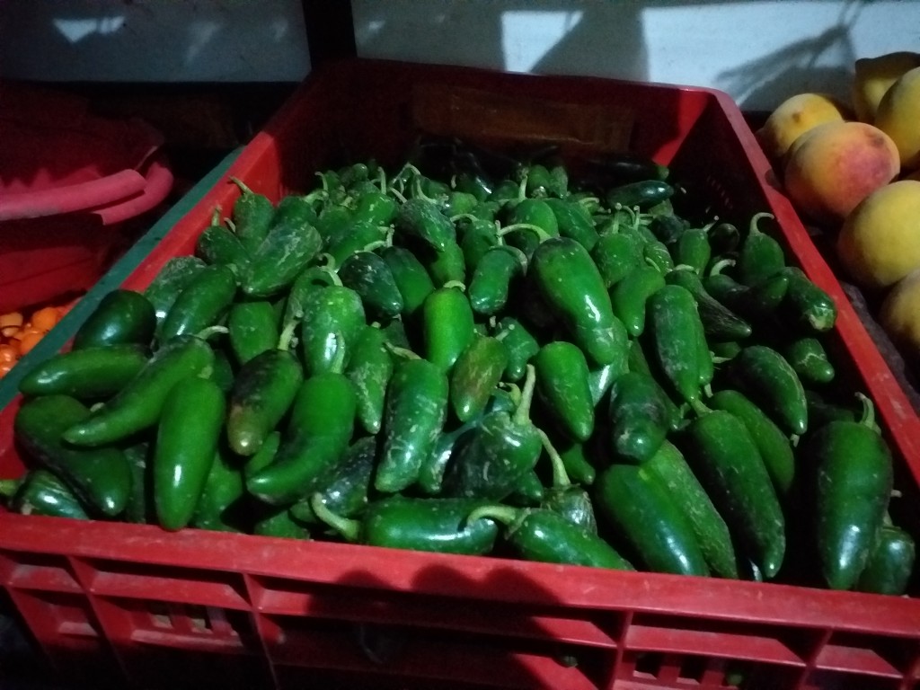 Aji referencia jalapeño