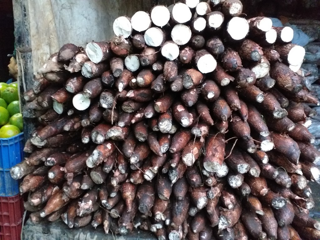 Yuca suelta
