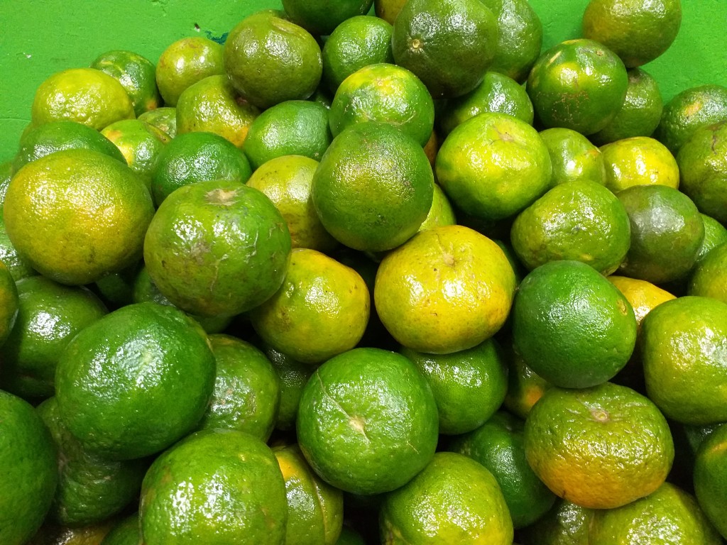 Mandarina