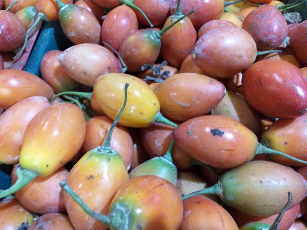Tomate de arbol gruesl
