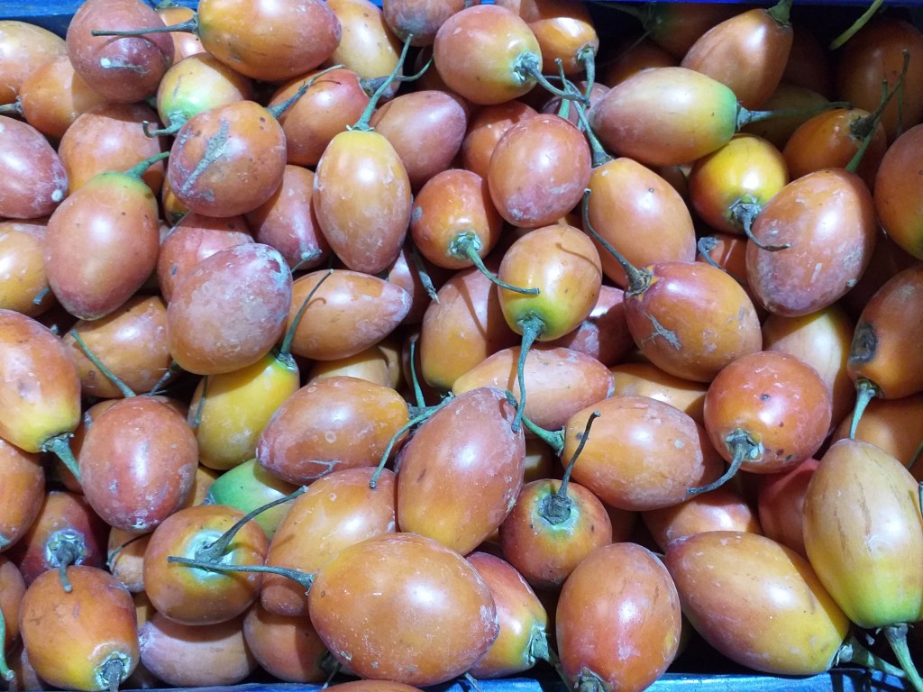 Tomate de arbol delgado