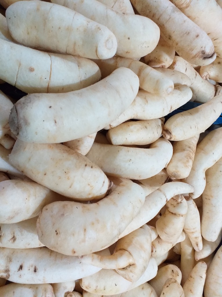 Arracacha