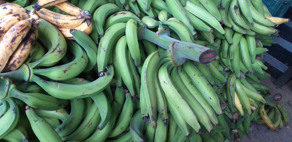 Platano verde