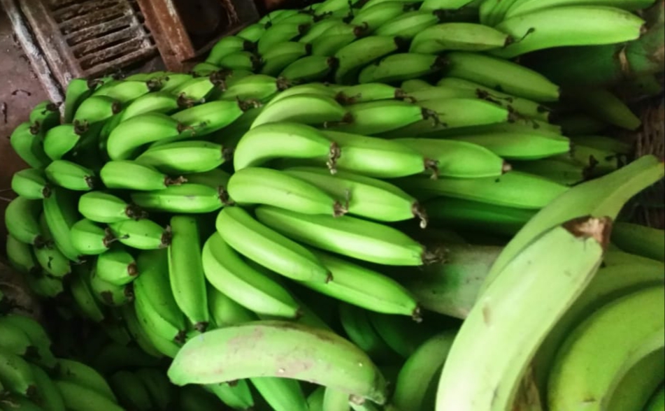 Platano verde