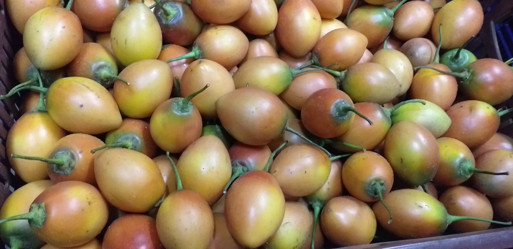 Tomate de arbol