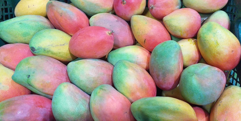 Mango yulima/25kg