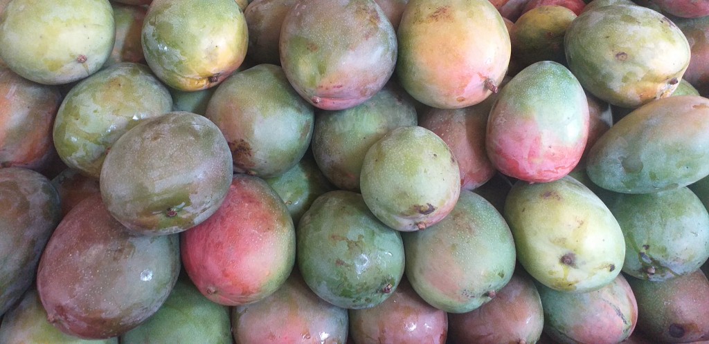 Mango farchi