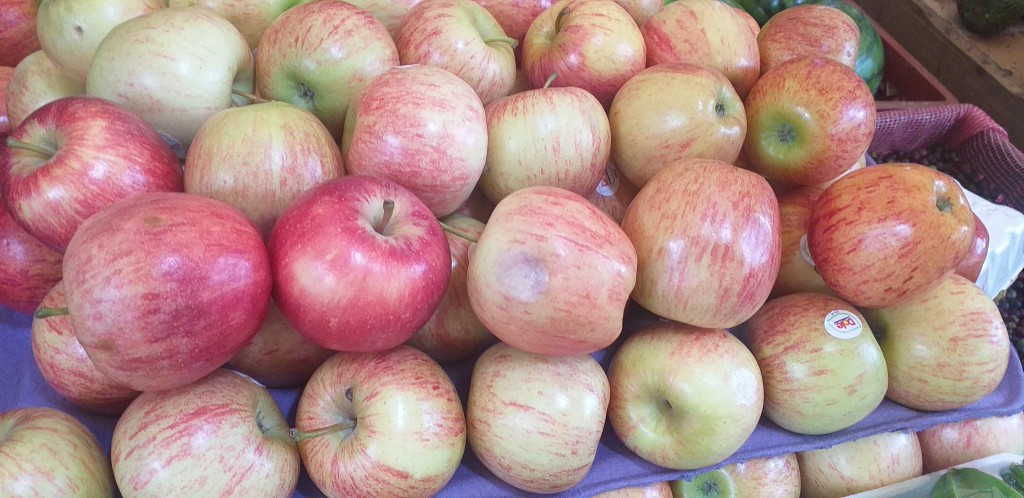 Manzana gala