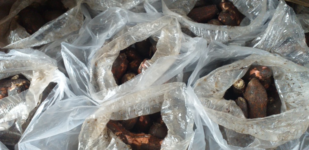 Yuca chirosa/25kg