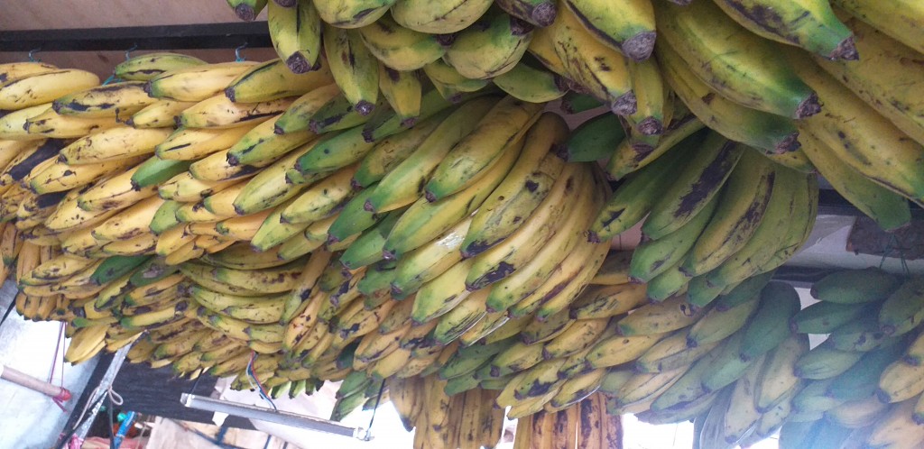 Banano criollo de 2da