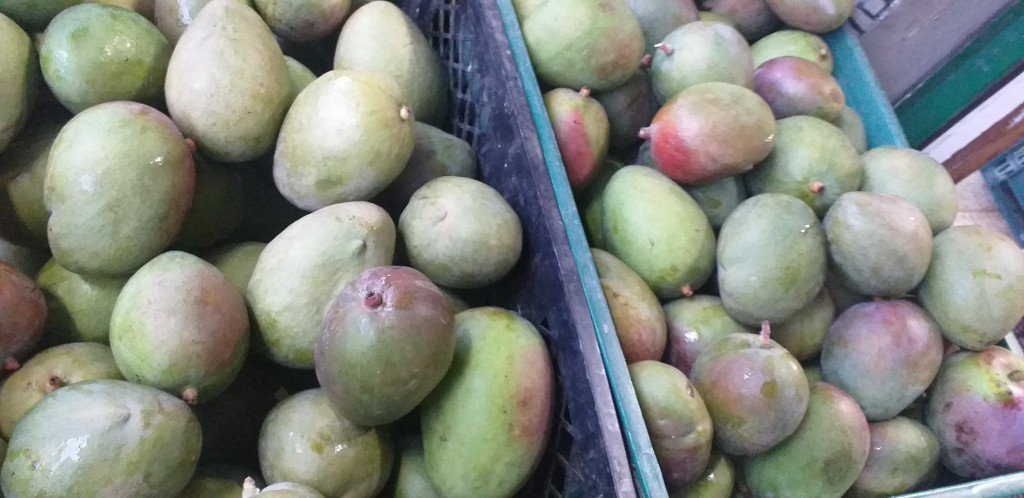 Mango farchi