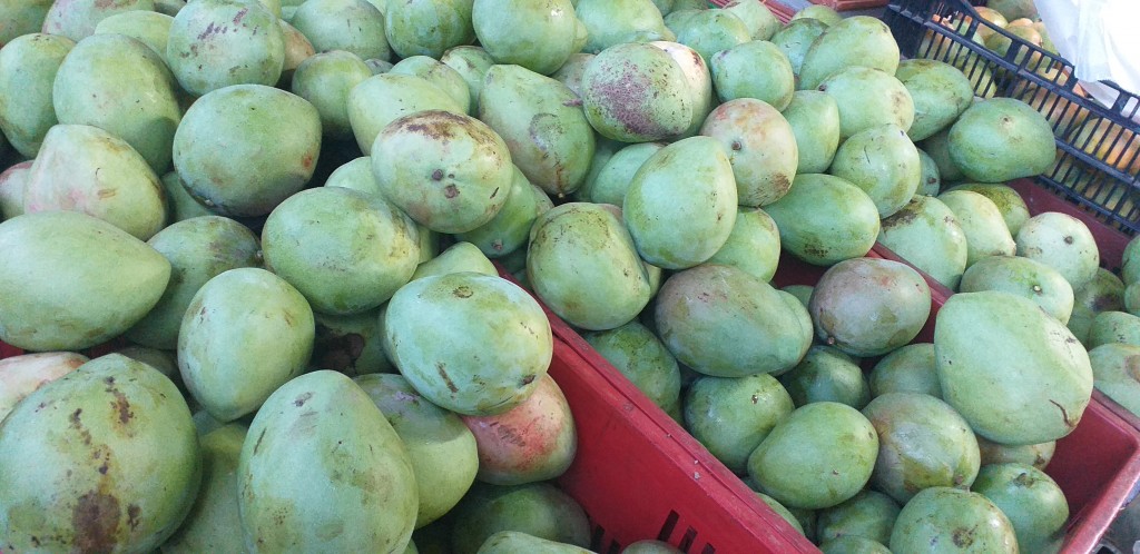 Mango filipino