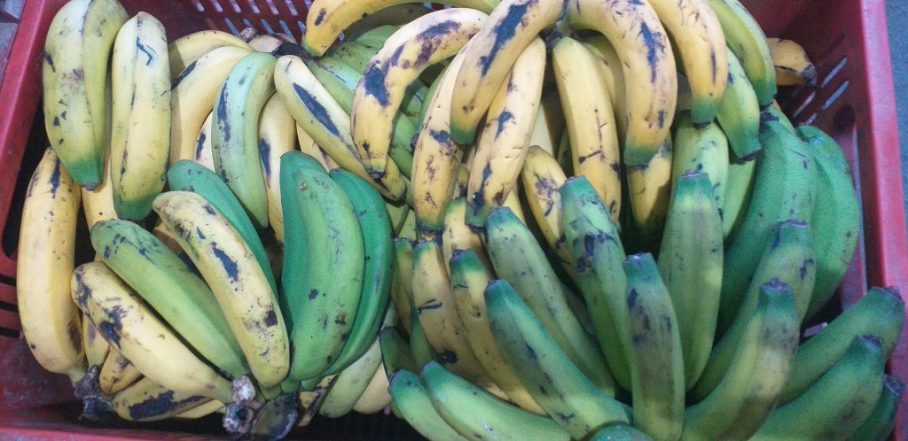 Banano pinton